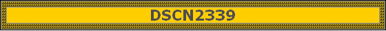 DSCN2339