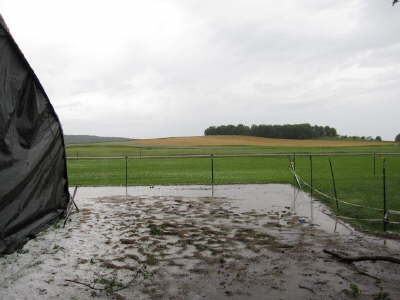 dasWeisse_ist_Hagel_Zaun_sogar_Tpfosten_waren-auf-halbAcht